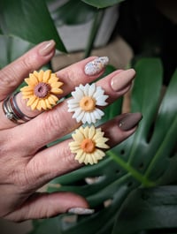 Image 1 of Sunflower Rings