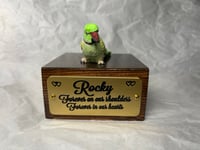 Image 11 of Handmade Custom Engraved Indian Ring Neck Parrot Urn Handpainted Pet Portrait