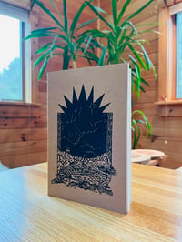 Image 2 of Bird Notebooks