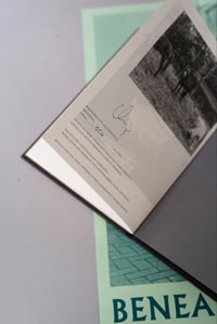 Image 5 of Beneath Mercia limited edition 