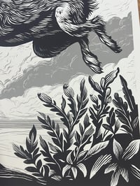 Image 3 of Liebre