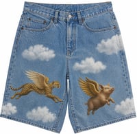 Pigs Fly Denim 🪽