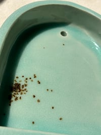 Image 2 of Small Blue Wall Altar