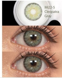 Image 1 of Cleopatra Grey