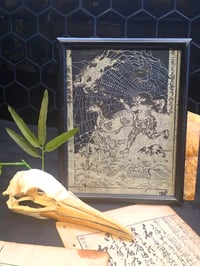Image 1 of 1800s -Japanese collection with preserved webs-3