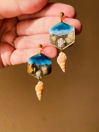 🐚Mini Sea Snail Shell🐚