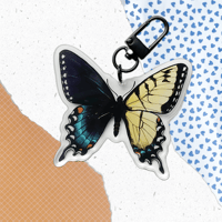 Gyandromorph Swallowtail Keychain- Overqualifieddog 