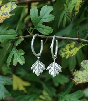 Image of Twiggy Hawthorn Hoop Earrings