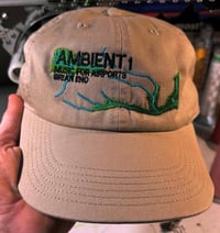 AMBIENT