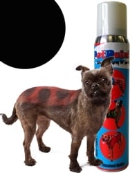 Image of Pet Paint Basset Black. 