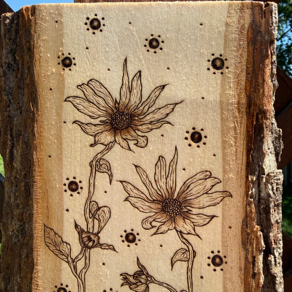 Image of sun seeker propagation station wood art