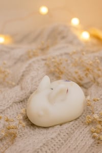 Candy Cane Winter Botanical Bunny