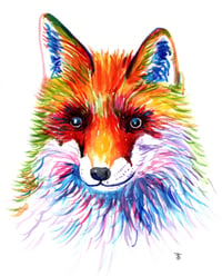 Rainbow Fox Print