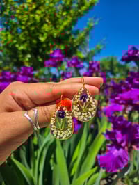 Verbena n Bridal Wreath 