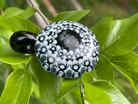 Image 6 of Floating Lotus