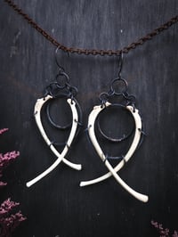 Image 4 of gemini hoops