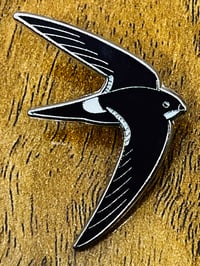 Image 2 of White-rumped Swift - No.158 - UK Birding Pins 