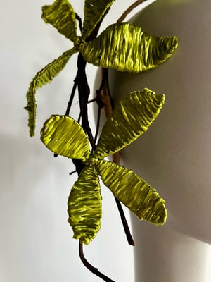 Image of Chartreuse raffia flowers 