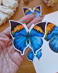 Image 4 of Oak Leaf Butterfly sticker