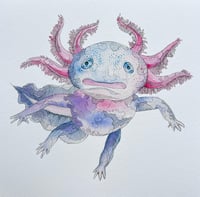 Axolotl