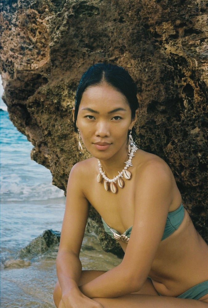 Image of Cowry collar necklace