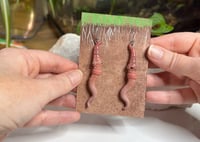Image 2 of Worm Earrings - Twiddles and Dee