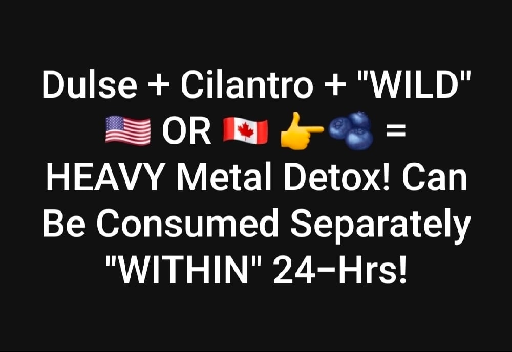 WILD CILANTRO/Blueberry Juice. Dulse. Kamut Wheatgrass. Anxiety. Oxygen.