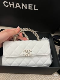 Image 13 of CC 25 Mini Bag