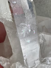 Image 15 of Clear Quartz Crystal Points Cluster #865