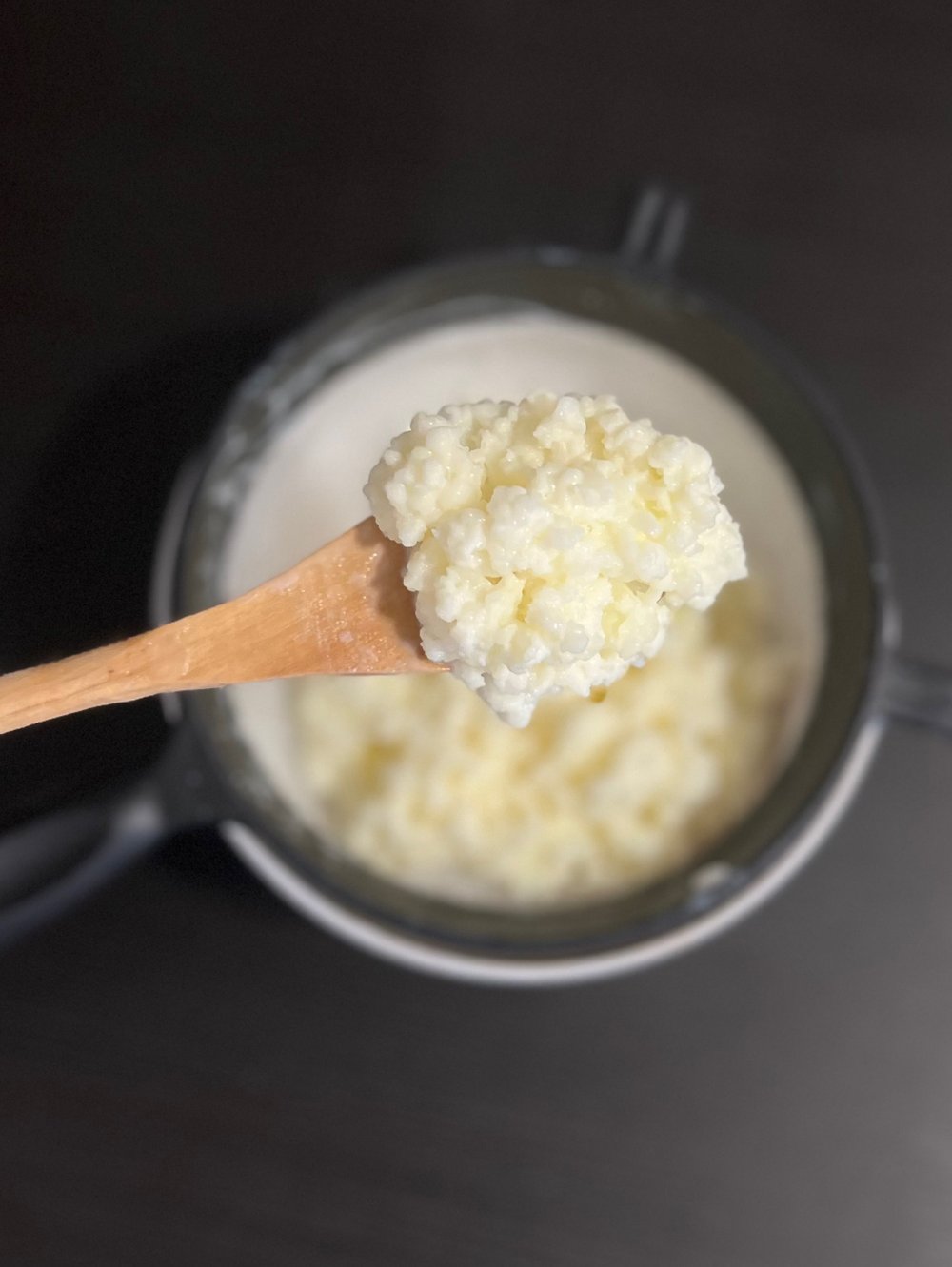 Image of Granos De Kéfir 