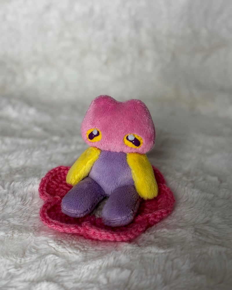 Image of colorblock frog