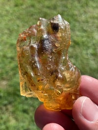 Image 4 of Amber Specimen #1944