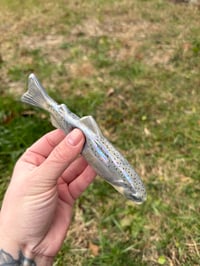 Image 2 of Atlantic Salmon 