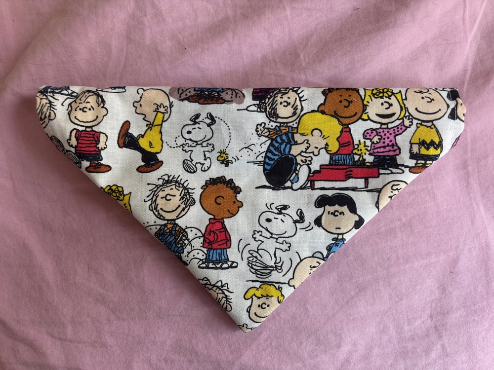 Image of The Gang Pet Collar Bandana 