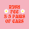 3-5 items rush fee