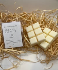 Orange blossom clamshell wax melts 