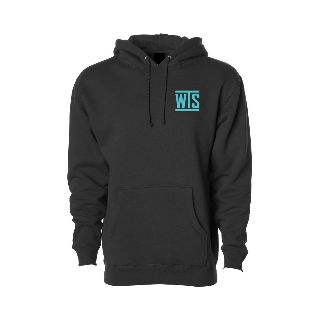 Image of WHAT COULD GO WRONG (BLK/MINT HOODIE)
