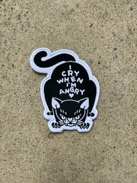 RR#155 I Cry When I’m Angry Cat Patch