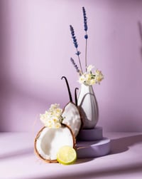 Image 4 of Lullaby Lavender & Dreamy Jasmine Incense Sticks