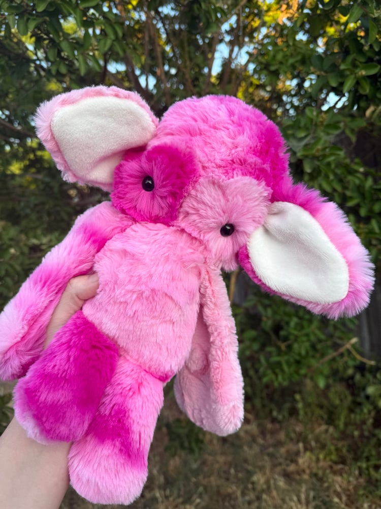Image of Pinky