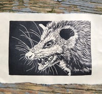 Possum Print