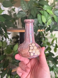 Image 3 of Pearly Whites