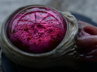 Image 23 of Magenta Bloom Snaggletooth Pendant OOAK