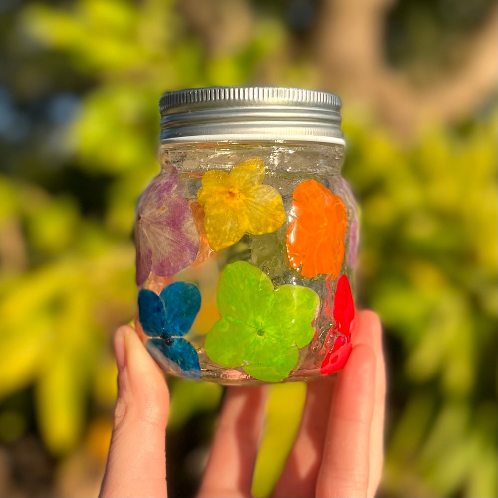 Image of lil rainbow hydrangea jar