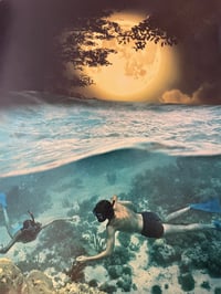 Image 1 of Moon dive