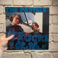 The Pastels – Truckload Of Trouble - First Press 2 x LP!