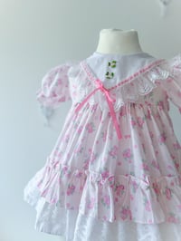 Image 1 of Rosie - 12 months 