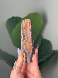 Image 1 of PINK AND ORANGE STRIPED LAGUNA AGATE