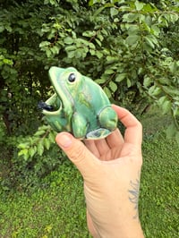 Image 7 of Frogs 