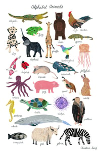 Image of Alphabet Animals